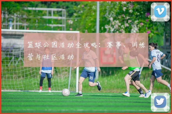 篮球公园活动全攻略：赛事、训练营与社区活动